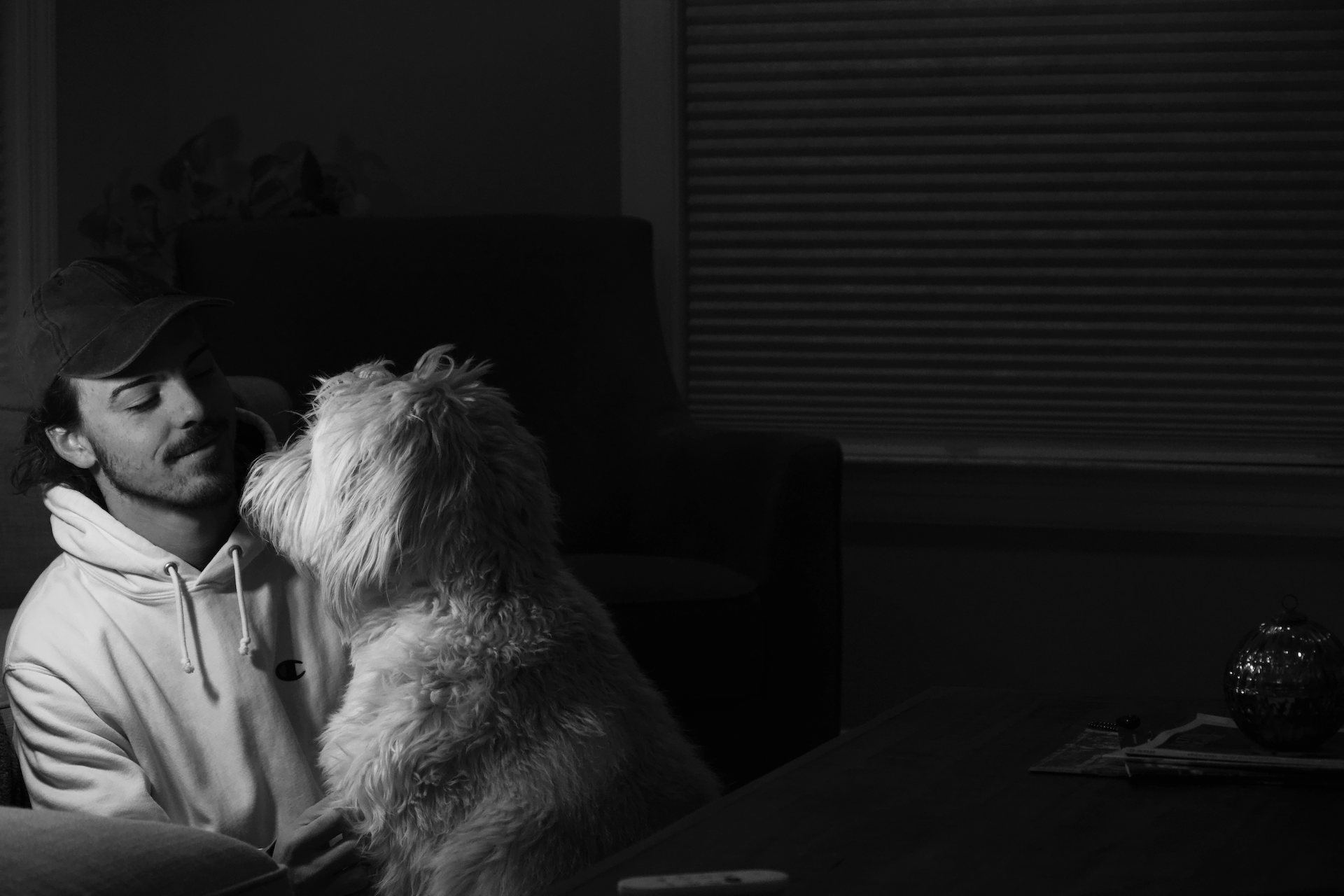 I used the Canon app to remotely take this!